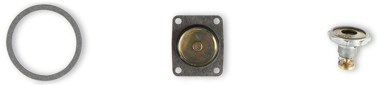 Holley Carburettor Fast Kit/Rebuild Kit (HO37-1542) - Prolink Performance