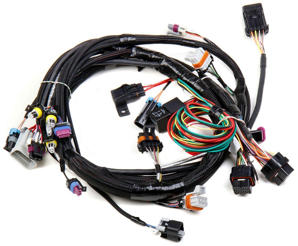 Holley LS1/LS6 Main Wiring Harness (HO558-102) - Prolink Performance