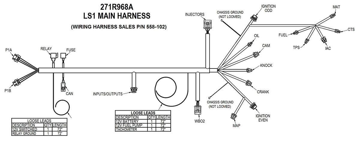 Holley LS1/LS6 Main Wiring Harness (HO558-102) - Prolink Performance