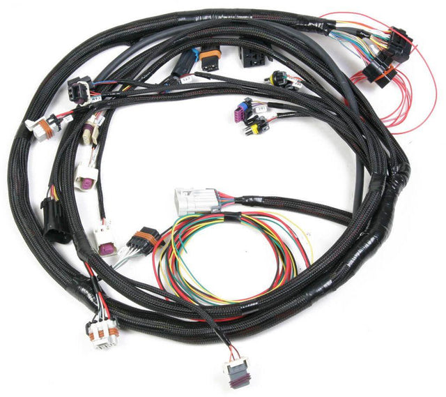 Holley LS2/LS7 Main Wiring Harness (HO558-103) - Prolink Performance