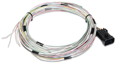 Holley Auxiliary Harness - J1A/B Input/Output (HO558-400) - Prolink Performance