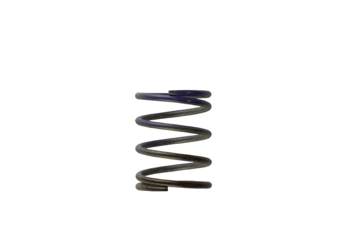 TurbosmartGen4 / IWG WG38/40/45/50L 7PSI Middle Spring - Brown/Purple