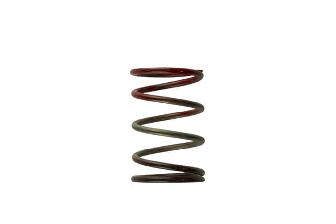 TurbosmartGen4 / IWG WG38/40/45/50L 11PSI Middle Spring - Brown / Red