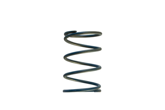 TurbosmartGenV WG45/50 14psi Blue Outer Spring