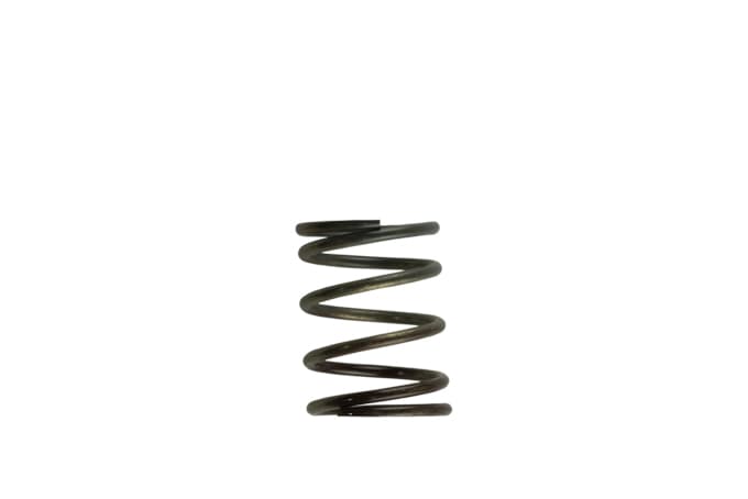 TurbosmartGen4 IWG/WG38/40/45/50L 5PSI Inner Spring - Brown / Grey