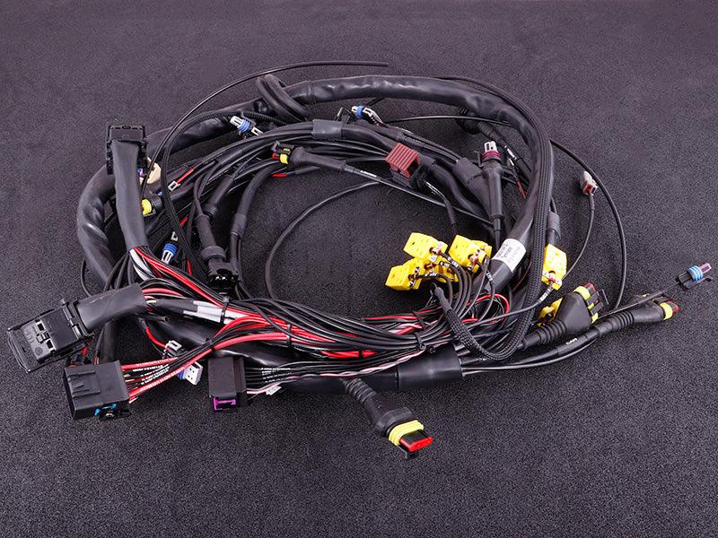 Terminated engine harness - GM LS GEN III/IV including MaxxECU RACE kit - Prolink Performance