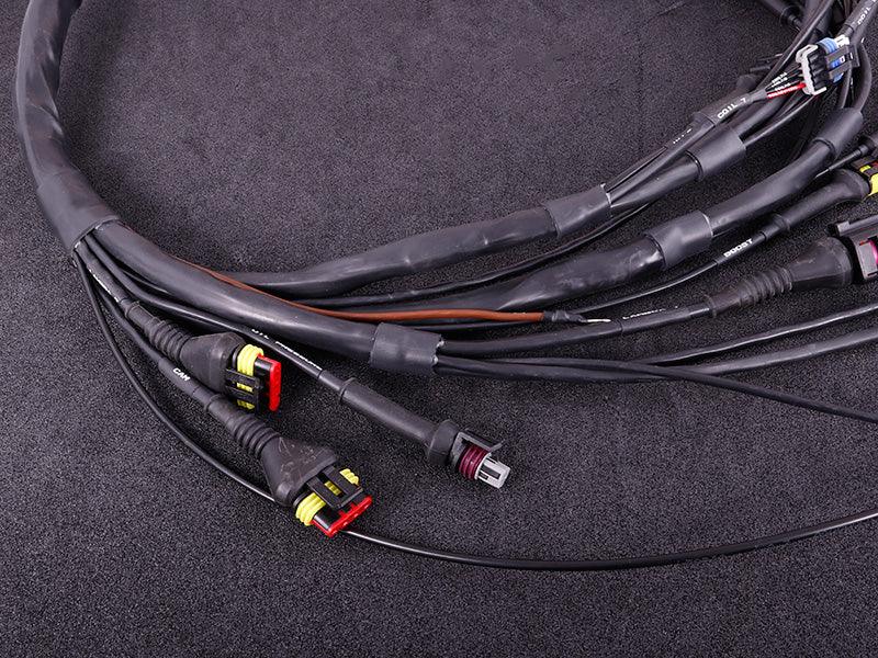 Terminated engine harness - GM LS GEN III/IV including MaxxECU RACE kit - Prolink Performance