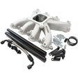 Aeroflow GM LS Rectangle Port Carburettor Street Single Plane EFI Intake Manifold, Natural Cast Finish AF6050-6000 - Prolink Performance