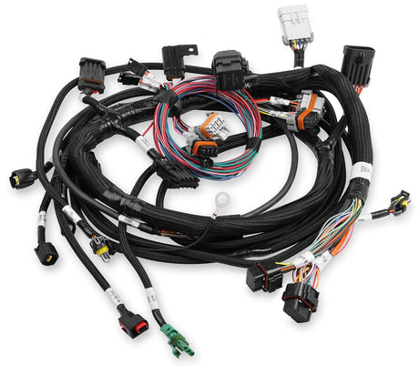 Holley Ford Coyote Main Harness (HO558-109) - Prolink Performance