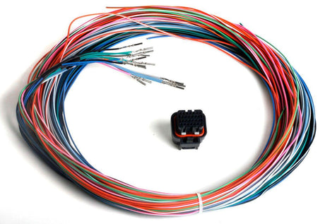 Holley Auxiliary Harness - J2B Connector (HO558-402) - Prolink Performance