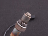Nissan Skyline GTS/GT-R R32/33 MaxxECU RACE Plugin EXTRA