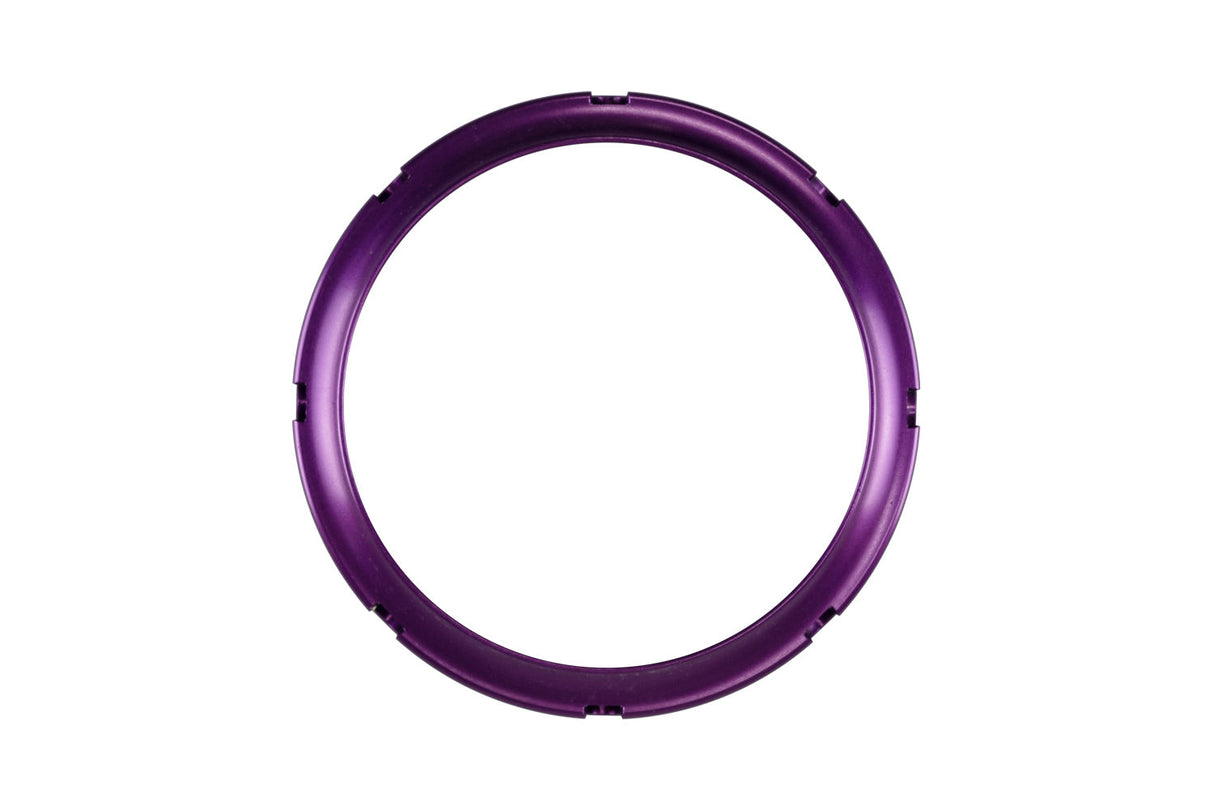 TurbosmartBOV RacePort and IWG Locking Collar Purple