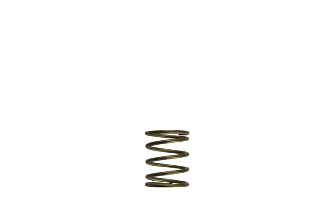 TurbosmartGenV WG45/50 3psi Orange Inner Spring