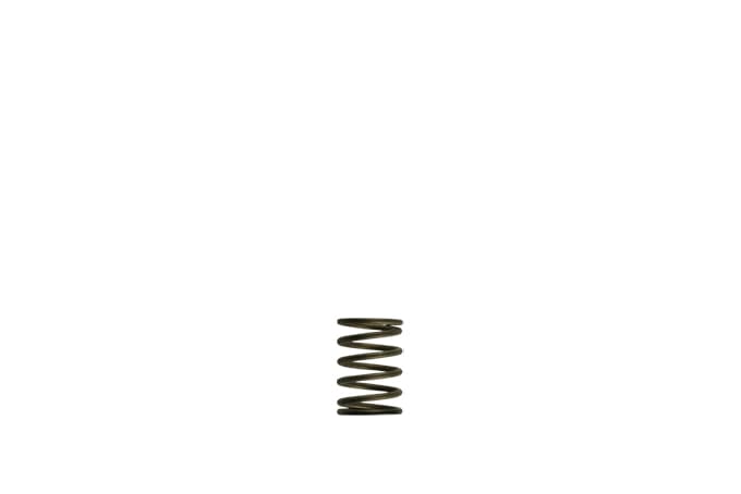 TurbosmartGenV WG38/40 3psi Black Inner Spring