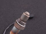 Nissan Skyline GTS/GT-R R32/33 MaxxECU RACE Plugin EXTRA - Prolink Performance