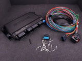 MaxxECU PRO - Prolink Performance