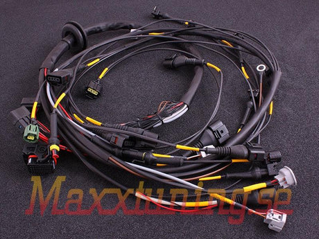 Terminated engine harness - Toyota 2JZ - Prolink Performance
