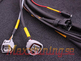 Terminated engine harness - Toyota 2JZ - Prolink Performance