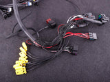 Terminated engine harness - GM LS GEN III/IV including MaxxECU RACE kit - Prolink Performance